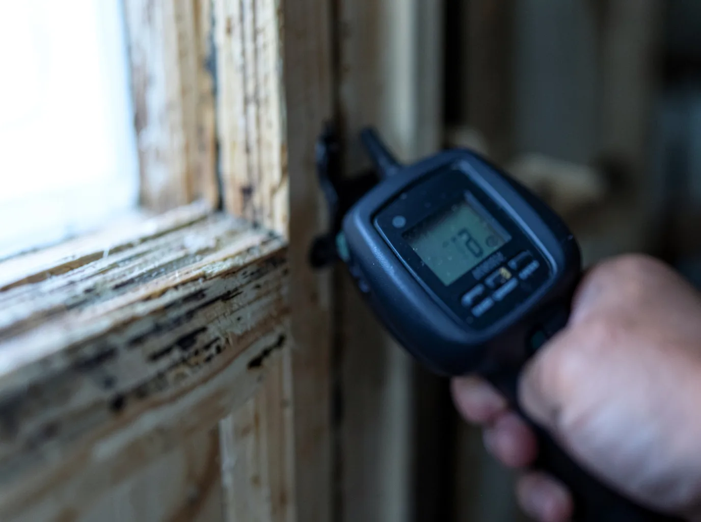 Moisture Inspection And Documentation in Gueydan, LA